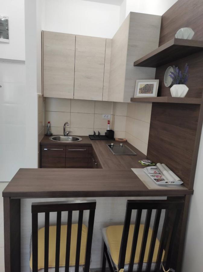 Studio Apartman Dani Banja Koviljača Exterior foto